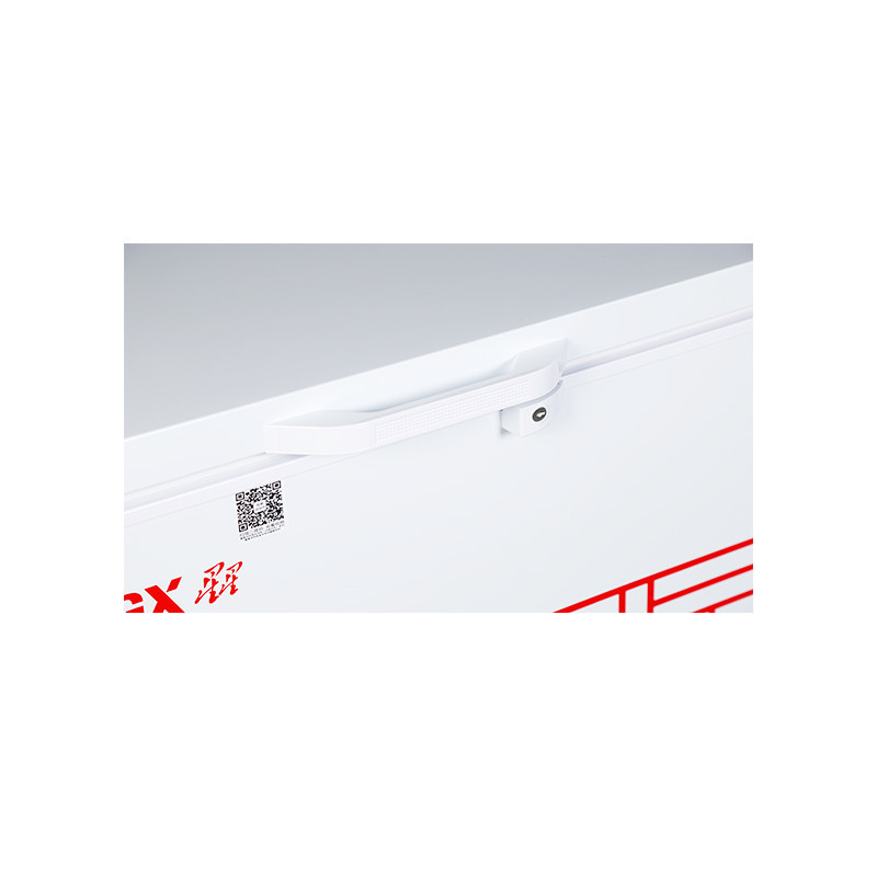 星星(XINGX) BD/BC-718C(G)718升冷藏冷冻冰柜卧式冷柜冰柜大冰柜商用保鲜冷冻转换柜