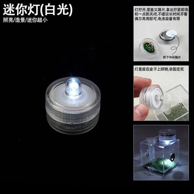 迷你灯 跳蛛饲养盒鸣虫生态盒蝈蝈叫罐竹蛉螳螂电报蛉蜘蛛昆虫加湿生态盒
