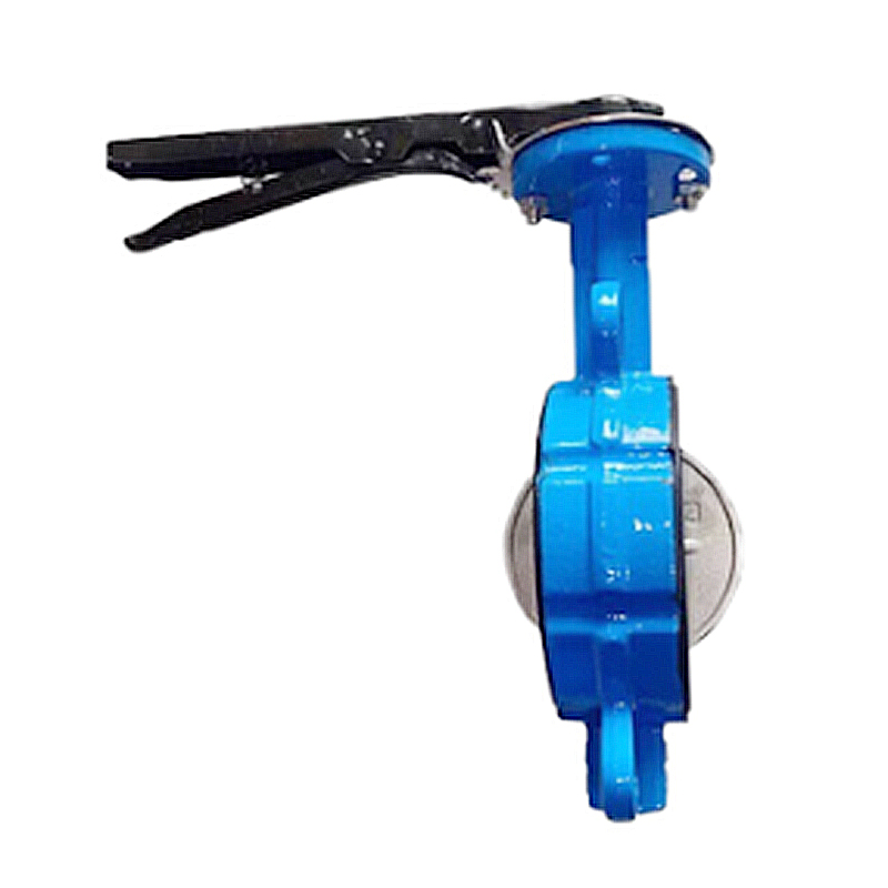 兴酉 对夹式软密封蝶阀 DN40 个高清大图