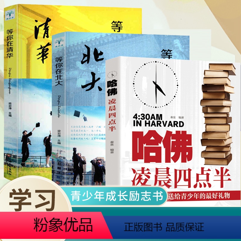 [正版]等你在清华北大2020年 高效学习方法类书籍套装3册 等你在北大清华书 教育学基础综合知识中考 我在 哈佛凌晨