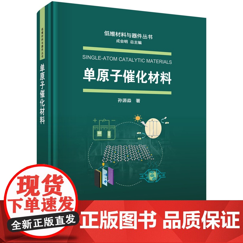 单原子催化材料 低维材料与器件丛书 科学出版社高清大图