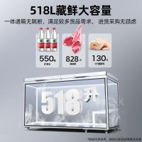 星星(Xingx)BD/BC-528GE 518升 冰柜冷柜 厨房商用保鲜设备卧式大容量 冷藏冷冻转换单温冰柜 一级能耗