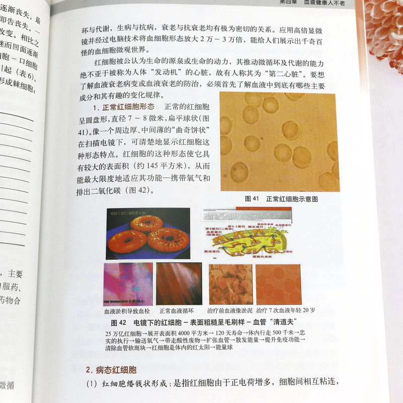 [醉染正版]血管决定人的寿命+血液年轻人不老 中医气血养生 营养食谱健康护理书籍调理保健养生排毒调理养命之方中医养生书籍高清大图