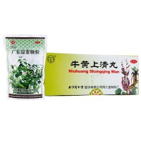 【搭配装】同仁堂 牛黄上清丸 6g*10丸+观鹤 广东凉茶颗粒 10g*20袋 解热镇痛 丸剂