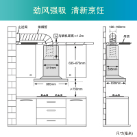 西门子(SIEMENS)按键式抽油烟机CXW-220-LC53AA95SW 18m³/min大吸力欧式烟机