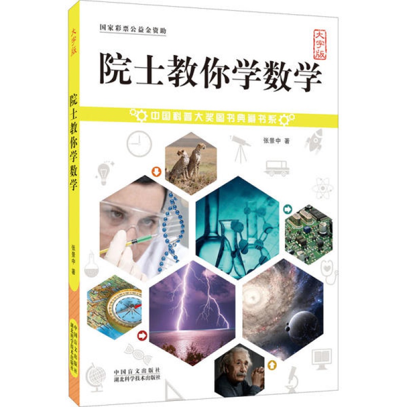 [正版]中国科普大奖图书典藏书系:院士教你学数学大字版张景中/著 中国盲文出版社 你好小学数学思维训练数学分析小题狂做高清大图