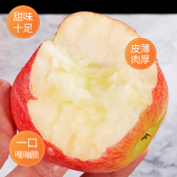 [熊猫鸟]烟台红富士苹果 净重4.5斤 中果 75mm+个 箱装 当季 新鲜水果