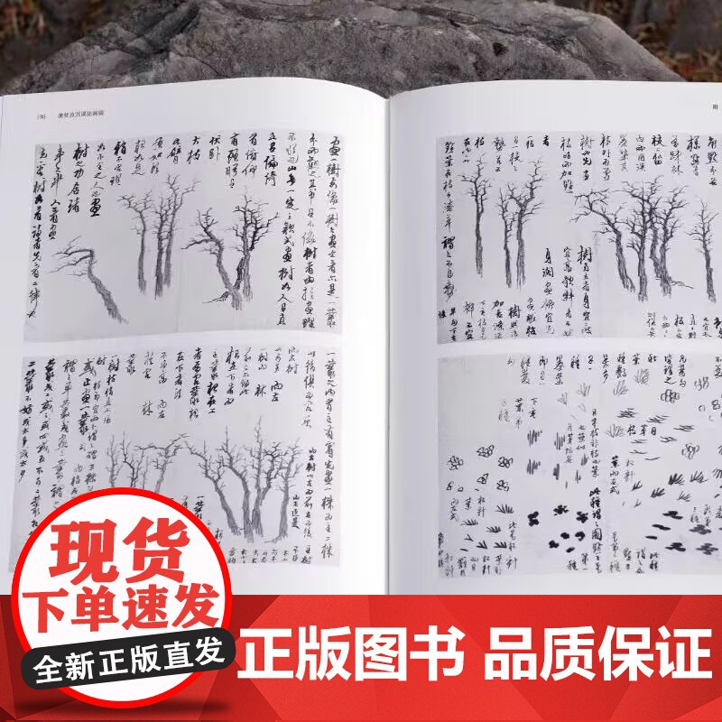 龚贤及其课徒画稿 戴文莲 著 视觉艺术东方学 中国美术学院出版社 9787550323261 商城正版高清大图