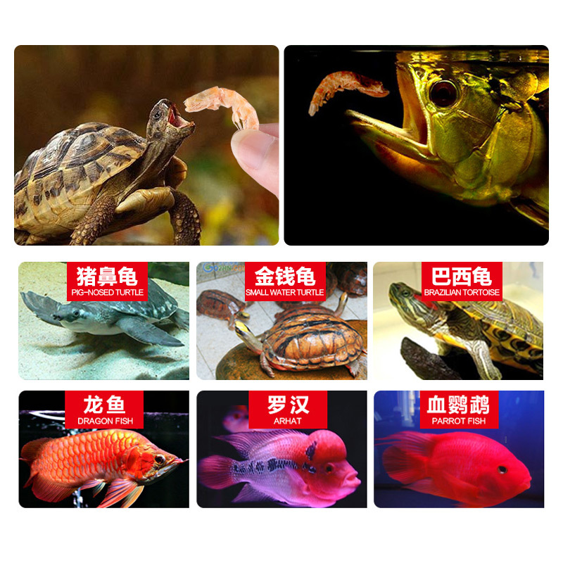南极磷虾银龙鱼饲料地图血鹦鹉罗汉发财热带鱼鱼食虾干鱼饲料高清大图
