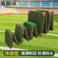 盛桐威体操垫仰卧起坐垫体能垫军绿色50*100*10CM高档海绵帆布