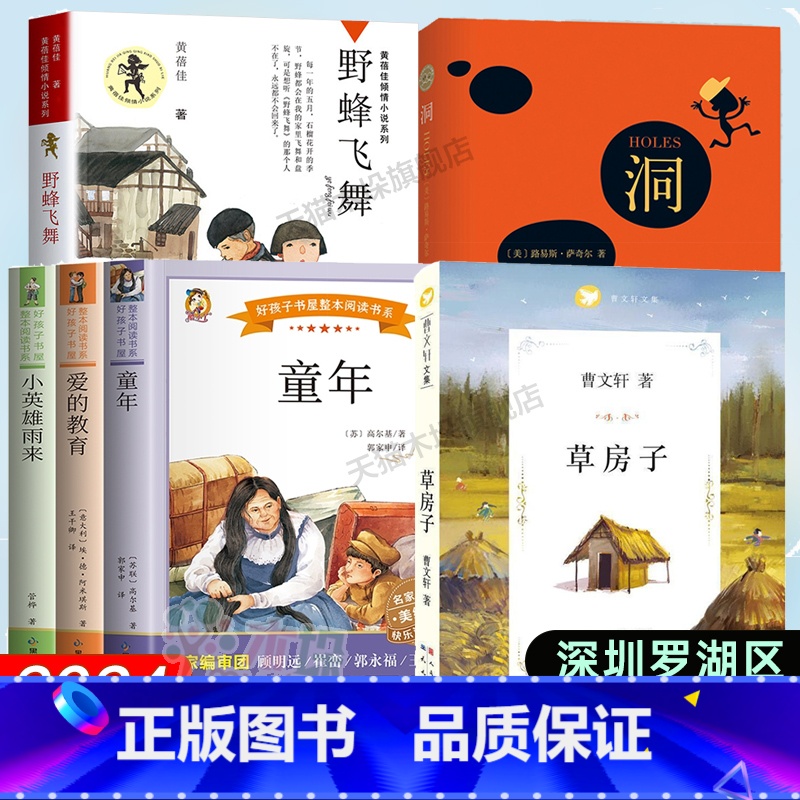 【6册】课外书全套 【正版】2024深圳市罗湖区六年级上学期暑假阅读书目草房子+野蜂飞舞+洞+童年适合10-11-12岁