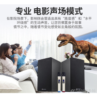 山水H8家庭ktv音响套装电视k歌客厅家用蓝牙全套重低音卡拉OK音箱家庭影院木质音箱双无线话筒麦克风