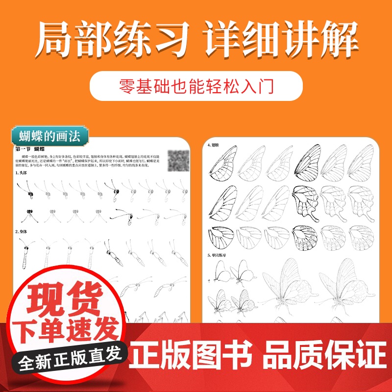 中国画白描入门描摹本国画工笔花卉人物美术套装画本工具描红书初学者画画临摹画册毛笔绘画练习教材高清大图