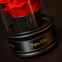 Para Ella 011系列进口玫瑰花永生花[旋转音乐礼盒]鲜花速递国庆节重阳元旦情人节生日纪念日礼物送老婆女生闺蜜