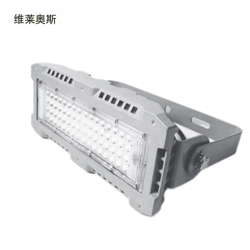 维莱奥斯 TGD1003-G LED投光灯110W 220V IP66 2700-7000K高清大图