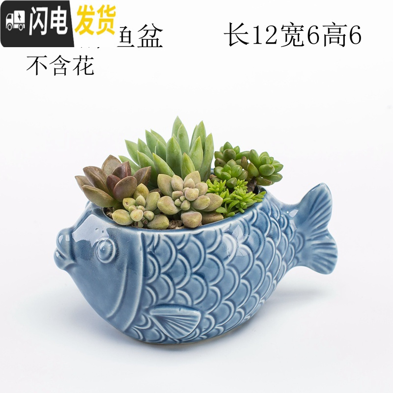 三维工匠多肉花盆器创意个性中大号口径肉肉植物小号拇指花盆陶瓷 蓝色海星栅栏盆 中等花盆容器