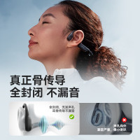 SANAG塞那 骨传导蓝牙耳机 无线运动跑步运动专用开放式颈挂耳不入耳 B22S户外防水高清降噪 尊享版-黑色