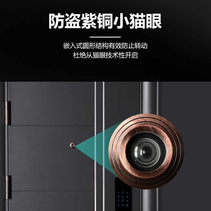 TIEWEI铁威门业-TW-唐纳德 嵌铝拼接 每平方价格 甲级家用大门智能防盗门钢质门安全门别墅门