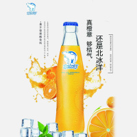 北冰洋桔子味汽水24瓶装 单瓶248ml 老北京玻璃瓶汽水果汁碳酸饮料