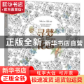 寻梦花园