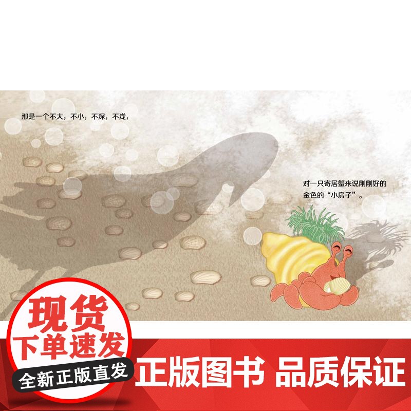 寄居蟹的冒险 第一次遇见数学绘本曲蛐文图少年儿童出版社 另著遇见科学绘本系列高清大图