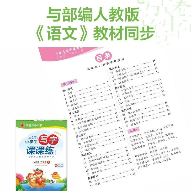 小学生部编五年级上下册人教版字帖硬笔钢笔临摹练字本正楷练字帖 习字帖五年级上册