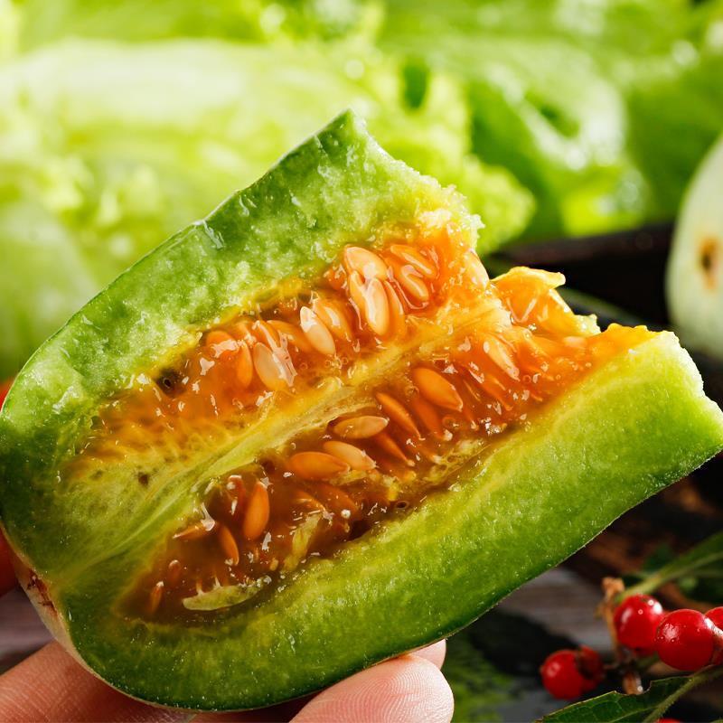 羊角蜜甜瓜现摘博洋甜瓜香瓜蜜瓜当季新鲜水果生鲜博洋61号甜瓜5斤装