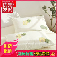 南极人枕套不褪色枕头套双人单人学生宿舍枕芯套48x74cm一对拍2