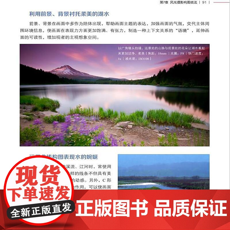 秒懂摄影构图及实拍技法 雷波 一本书秒懂摄影构图和20 种常见拍摄题材的构图技巧 轻松拍出好照片 讲解各种题材实拍摄影技高清大图