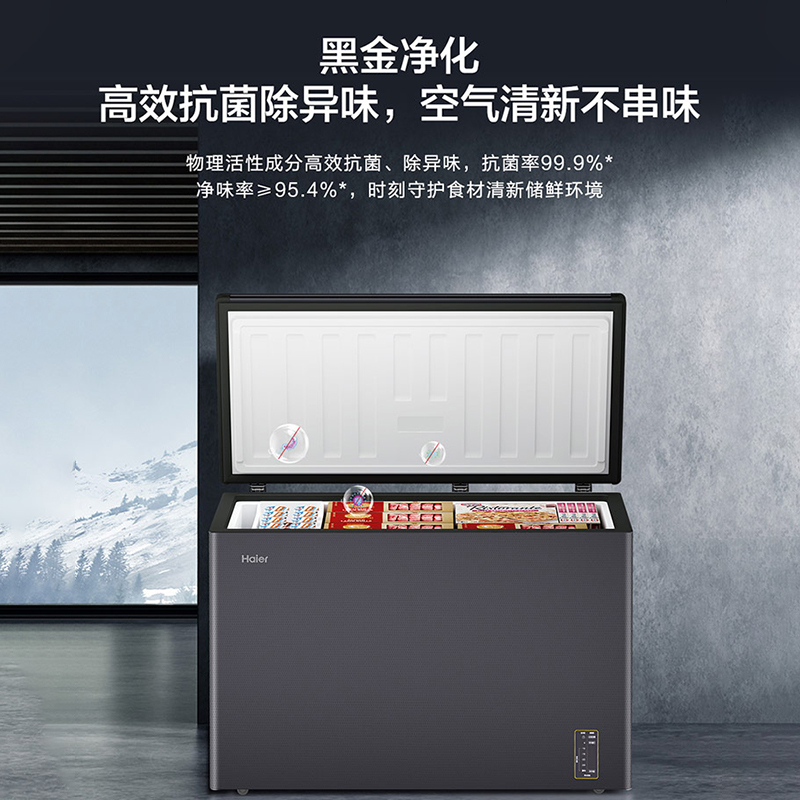 海尔(Haier) BC/BD-300WGHEC高清大图