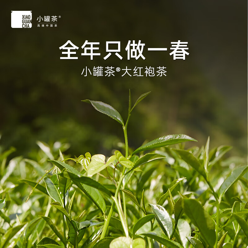 小罐茶 银罐特级乌龙茶武夷山核心产区大红袍茶茶叶礼盒40g 礼赠佳品高清大图