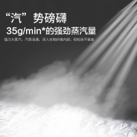海尔(Haier)海尔挂烫机家用蒸汽熨斗大功率商用服装店专用熨烫立式熨衣服神器HY-GD2005L2