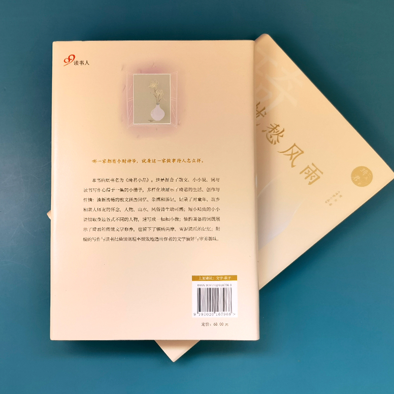 醉染图书忧愁风雨9787020167968高清大图