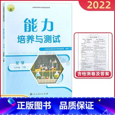 【正版】人教版初中化学能力培养与测试初三9九年级下册同步练习册基础达标同步训练随堂检测