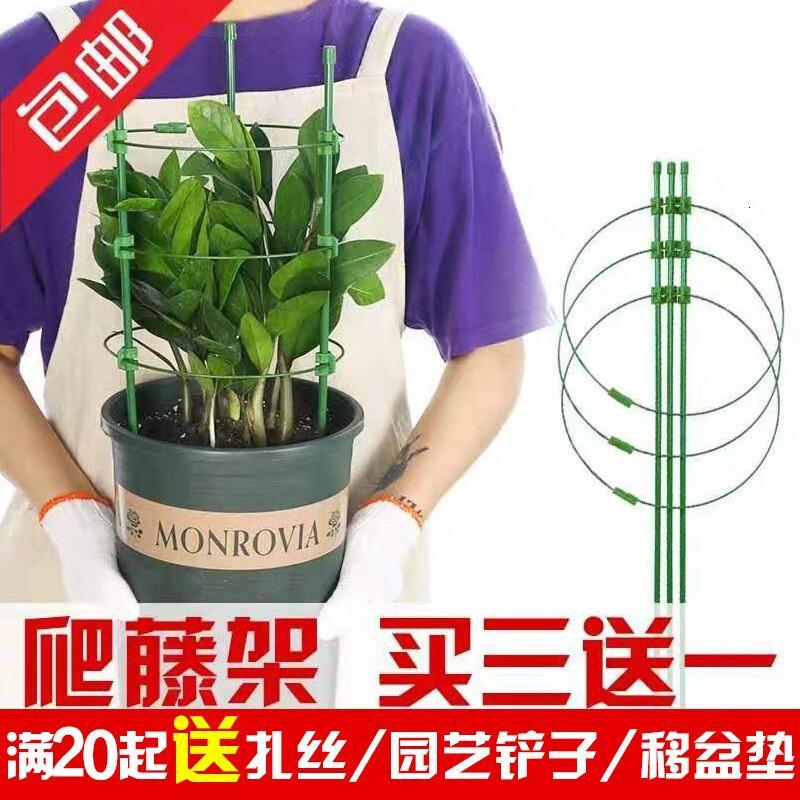 奥纳斯园艺用品植物爬藤花架阳台花盆攀爬支柱 花卉固定支撑防倒圆环蟹爪兰昙花月季豆角瓜铁线莲兰花蔷薇玫瑰发财树支架 价格图片品牌报价 苏宁易购艾维嘉居家日用专营店
