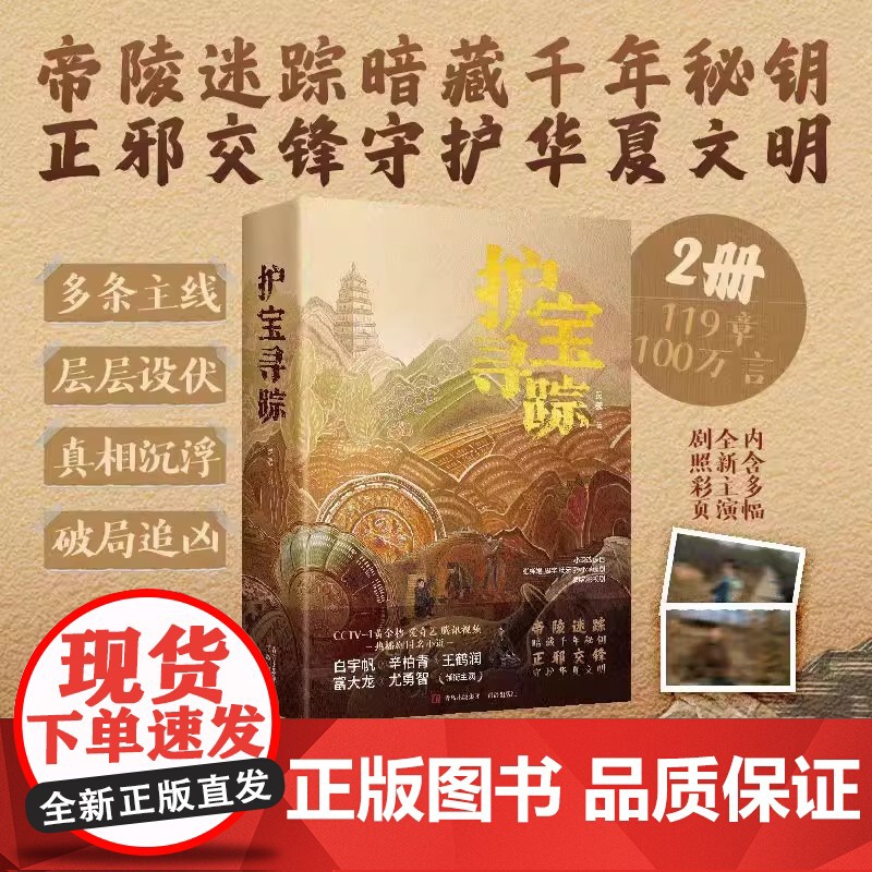 护宝寻踪 同名考古与文物保护题材电视剧央视黄金档爱奇艺腾讯视频燃情播出 白宇帆辛柏青王鹤润富大龙尤勇智 影视小说原著高清大图