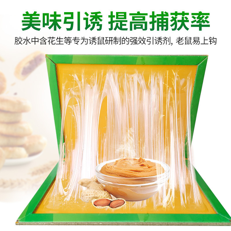 粘鼠板5张装