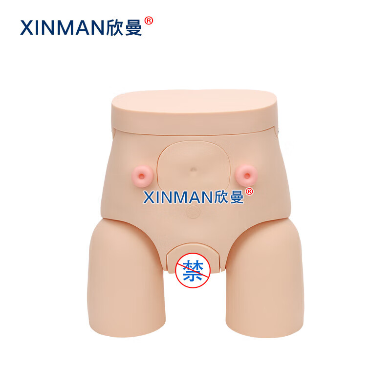欣曼科教 高级女性导尿操作训练模型 导尿练习模拟人XM-H11高清大图