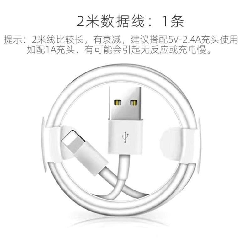 适配苹果充电器iphone数据线快充5/6/7p/xs/8plus/max/ipad充电器|2米数据线[1条]