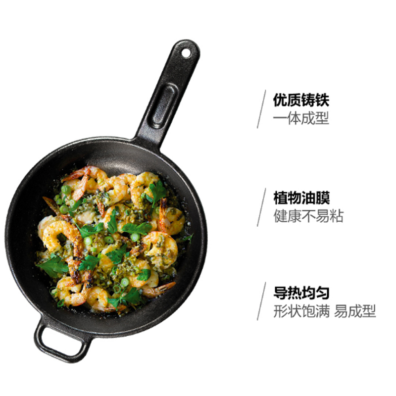 Lodge 洛极洛矶美国进口健康无涂层炒锅铸铁锅煎炒锅26cm P10S3电磁炉天然气通用无盖