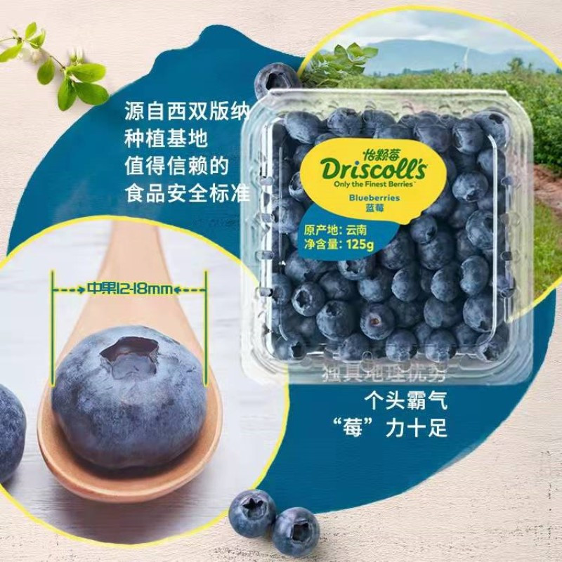 Driscolls 怡颗莓 当季限量云南蓝莓中果125g*6盒装 单果14mm+ 新鲜水果 顺丰空运