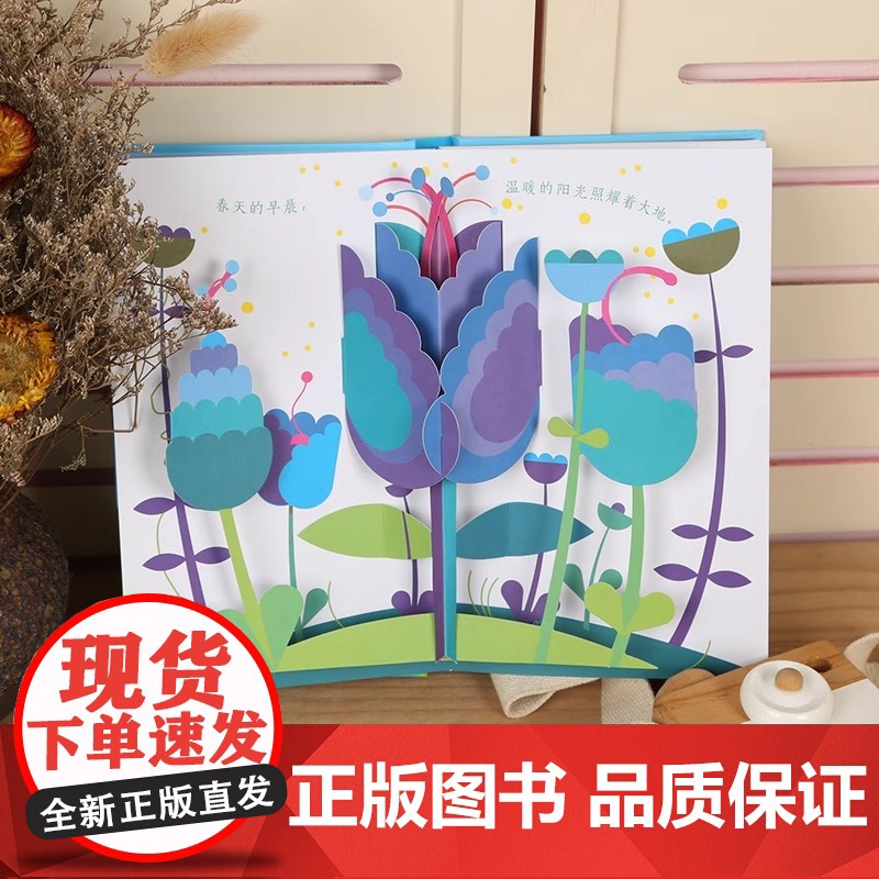 [央视网]花朵 浪漫立体花朵礼盒 浪漫纸艺立体书礼盒儿童绘本 菲利普于什著作 送给自己或重要的人520礼物书籍 QH高清大图