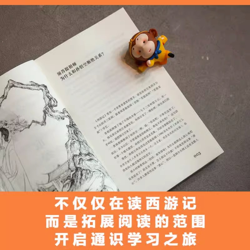少年读西游 [正版]少年读西游 8-13岁 李天飞 著 拓展孩子对中国文化的理解 儿童文学高清大图