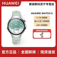 HUAWEI WATCH 5 (SOC-AL00) 42mm 绿色氟橡胶表带