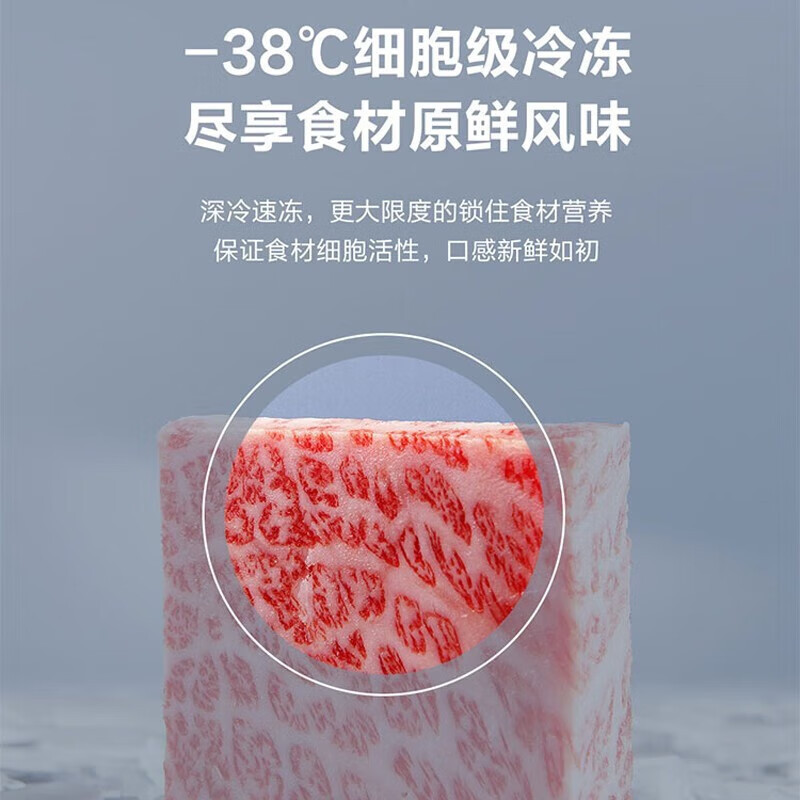 海尔(Haier)冰柜家用大容量429L 1级能效减霜80%-38度超低温冷柜深冷速冻商用冷柜电子控温