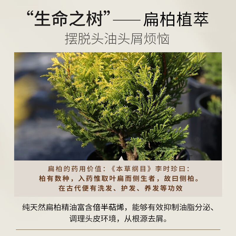 浅香日本扁柏氨基酸洗发水750g 1瓶高清大图