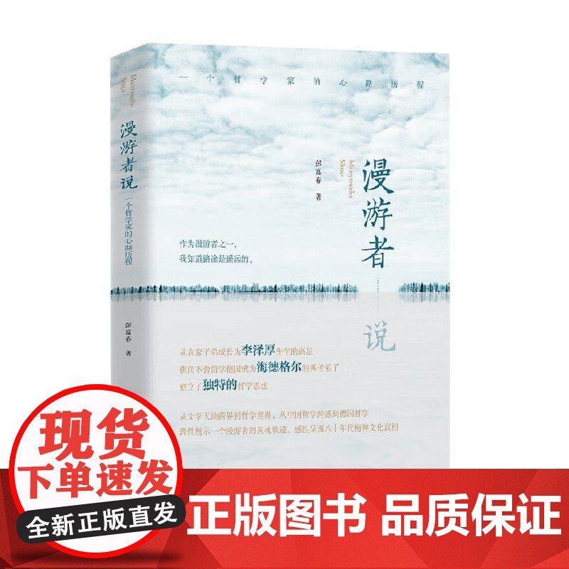 漫游者说 一个哲学家的心路历程 彭富春 著 历史高清大图