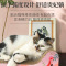 得酷(DEKU) 沙发猫抓板 猫床磨爪板 盆立式瓦楞纸猫爪窝 磨爪器 防抓贵妃椅沙发 猫咪玩具 宠物玩具