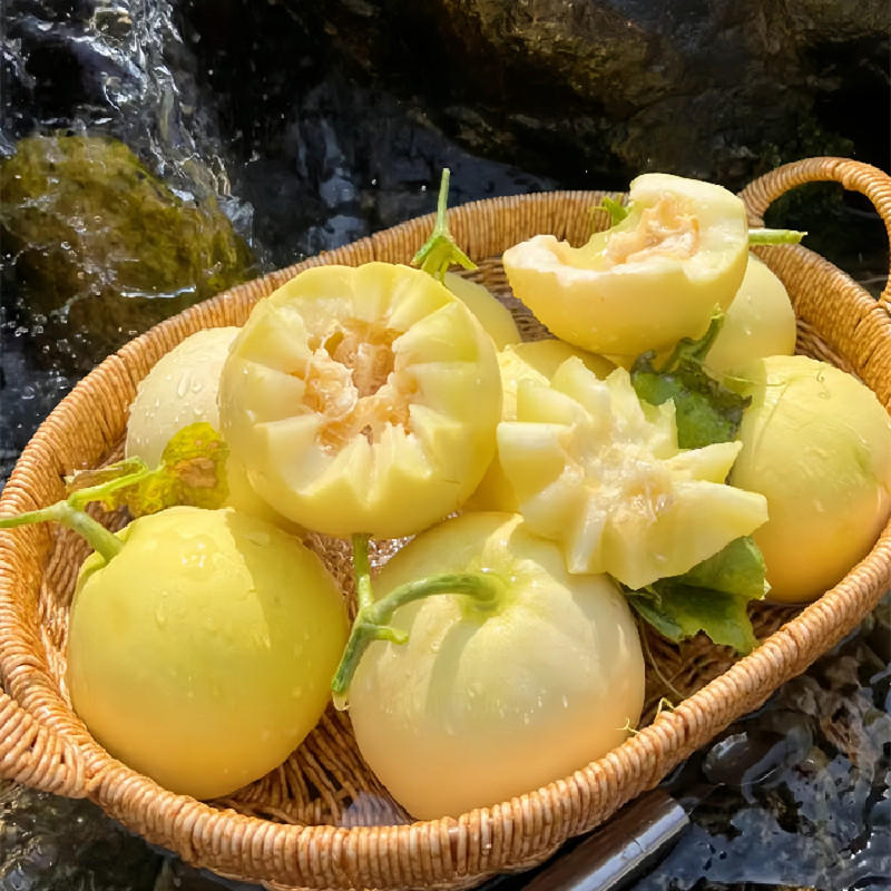 [熊猫鸟] 山东小蜜蜂甜瓜 净重2.5斤装 箱装 蜜瓜香瓜 当季甜瓜新鲜高清大图