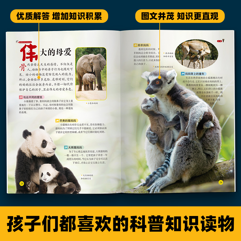 [醉染正版]探索科学百科丛书全套8册 解读自然动物中国少儿百科知识全书青少年读物科普类书籍小学6岁以上一二三年级阅读课外高清大图